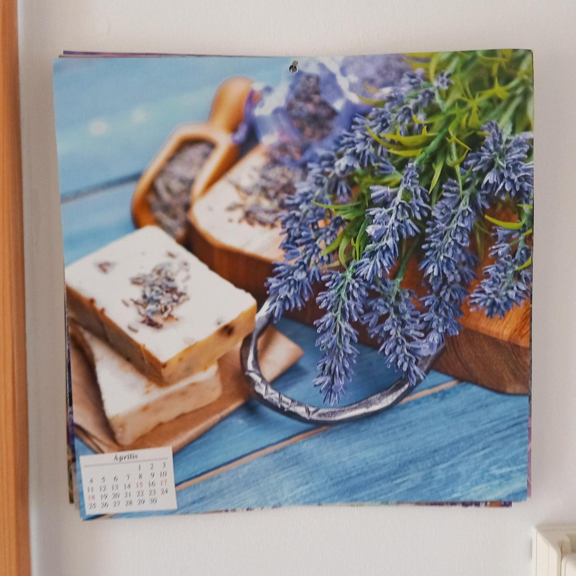 Lavender Apartment Hévíz Dış mekan fotoğraf